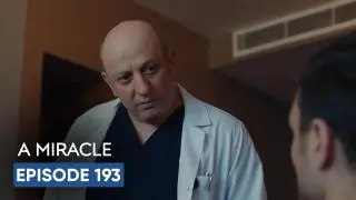 Episode 193