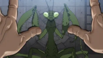 E2.Mixed species' martial arts