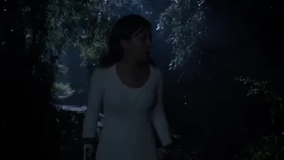 E3.Fireflies