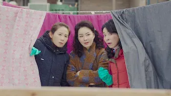 E7.Episode 7