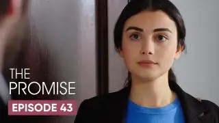 Episode 43