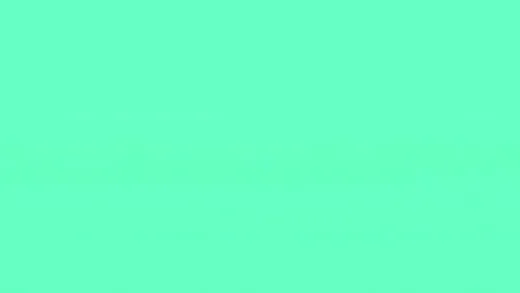 E25.BL4Z3
